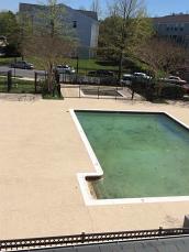 Pool Deck